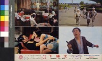 藏品(太陽下(彩色))的圖片
