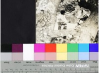 藏品(水雲(黑白))的圖片