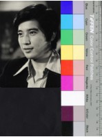 藏品(碧雲天(黑白))的圖片