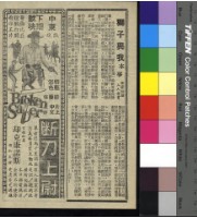 藏品(獅子與我)的圖片