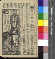 藏品(碧血長天)的圖片