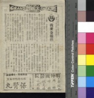 藏品(我愛金龜婿)的圖片