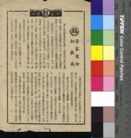 藏品(吾家有女初長成)的圖片