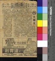 藏品(太陽王)的圖片