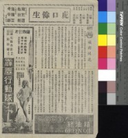 藏品(鐵樹開花)的圖片