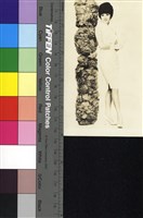 藏品(凌波)的圖片