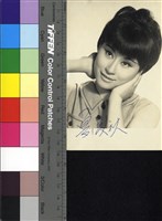 藏品(夏儀秋)的圖片