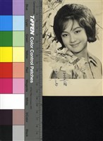 藏品(李菁)的圖片