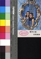 藏品(雙燕姐妹)的圖片