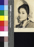 藏品(鄭佩佩)的圖片