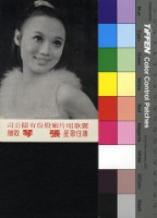 藏品(張琴)的圖片