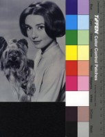 藏品( 奧黛莉赫本)的圖片