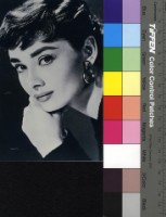 藏品( 奧黛莉赫本)的圖片