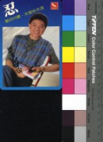 藏品( 葉啟田)的圖片