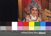 藏品(楊麗花)的圖片