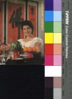 藏品(楊麗花)的圖片