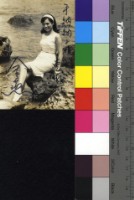 藏品(金燕)的圖片