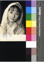 藏品( 林玉)的圖片