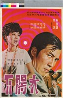 藏品(太陽下)的圖片