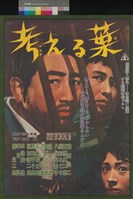 藏品(考葉)的圖片