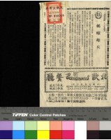 藏品(螞蟻雄兵)的圖片