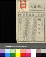 藏品(狗偵探)的圖片