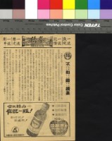 藏品(不如歸 續集)的圖片