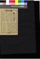 藏品(美女與軍隊)的圖片