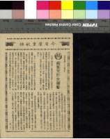 藏品(續集荒野大鏢客)的圖片