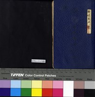 藏品(衝破鬼門關)的圖片