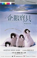 藏品(企鵝寶貝：南極的旅程)的圖片