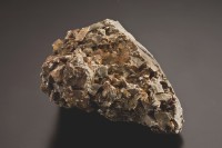 藏品(角礫岩(牛伏角礫岩矽化砂岩))的圖片