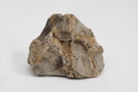 藏品(人造金礦石)的圖片