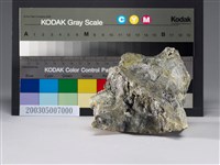 藏品(硫砷銅礦(enargite))的圖片