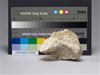 藏品(明礬石(alunite))的圖片