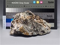 藏品(石英(quartz))的圖片