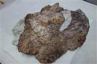 藏品(角礫岩)的圖片