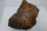 藏品(含化石之岩石)的圖片