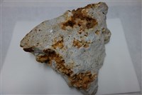 藏品(矽化安山岩)的圖片