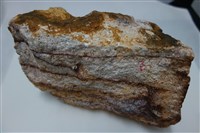 藏品(矽化安山岩)的圖片