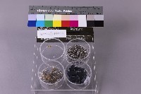 藏品(回收金)的圖片
