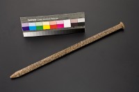 藏品(分仔1)的圖片