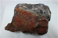 藏品(矽化頁岩)的圖片