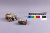 藏品(砂岩)的圖片