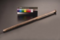 藏品(磅枝)的圖片