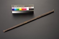 藏品(磅枝25)的圖片