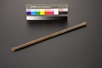 藏品(磅枝31)的圖片