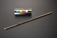 藏品(磅枝32)的圖片