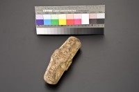 藏品(實桌的頭2)的圖片