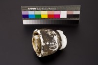 藏品(瓷碍子3)的圖片